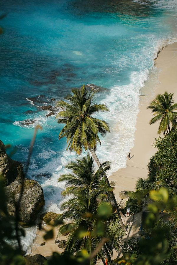 Nusa Penida cliff and palms above turquoise water, Bali
