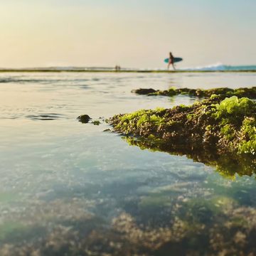 Beyond Bali Travel clients on a honeymoon trip to Bali